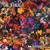 The Coral – Butterfly House