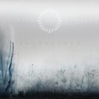 Animals As Leaders – Weightless