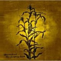 Wovenhand – The Laughing Stalk