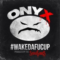 Onyx & Snowgoons – #Wakedafucup