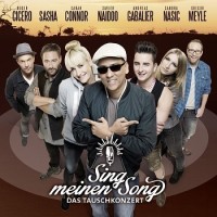 Various Artists – Sing Meinen Song