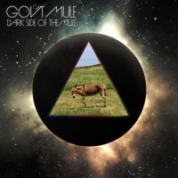 Gov't Mule – Dark Side Of The Mule
