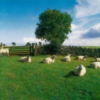 The KLF – Chill Out