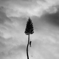 Manchester Orchestra – A Black Mile To The Surface