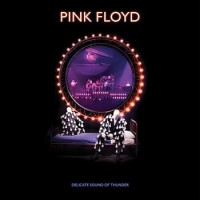 Pink Floyd – Delicate Sound Of Thunder (2019 Remix)