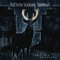 Pattern-Seeking Animals – Only Passing Through