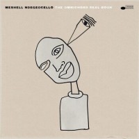 Meshell Ndegeocello – The Omnichord Real Book