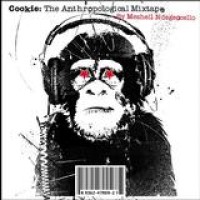 Meshell Ndegeocello – Cookie: The Anthropological Mixtape