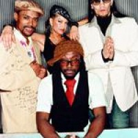 Black Eyed Peas – Sänger nach Unfall festgenommen