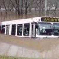 Doubletime – Di Bus Can't Swim!