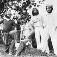 "Großer Nervenkitzel" – The Beach Boys feiern Reunion