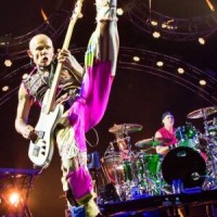 Red Hot Chili Peppers – Die neue Single "Poster Child"