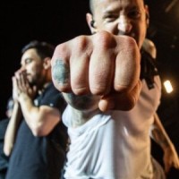 Vorchecking – Linkin Park, Element Of Crime, NF