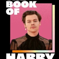 Buchkritik – Ch. McLaren - "Das große Harry-Styles-Fanbuch"