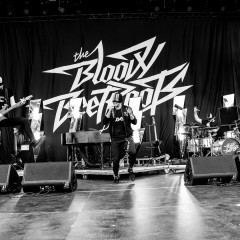 The Bloody Beetroots.