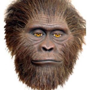 Profil von Australopithecus – laut.de