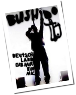 Ersguterjunge von Bushido laut.de Song