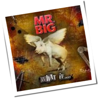 Mr. Big